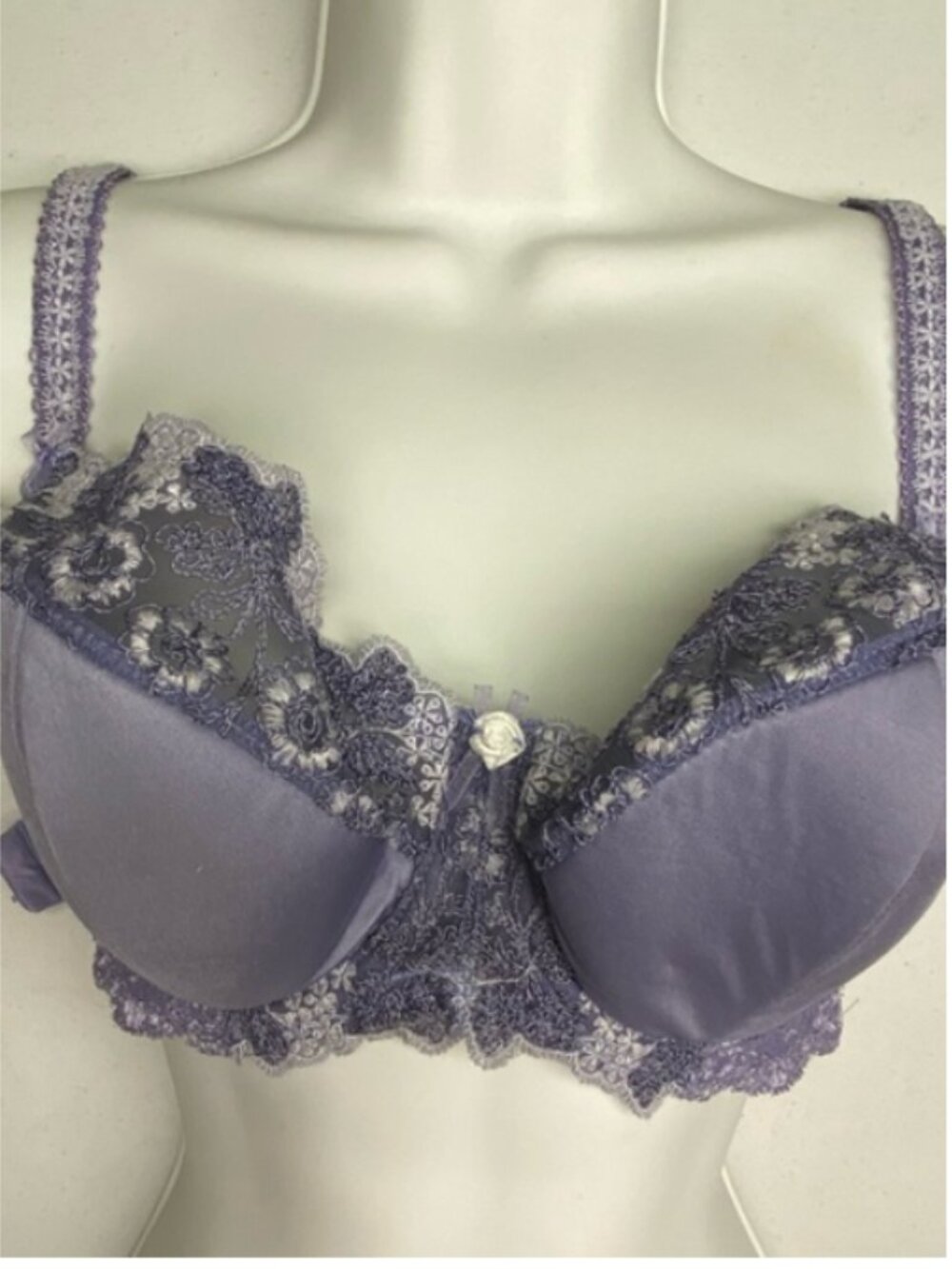Kris BLU Lightly Padded Underwire, 36D *P1041
